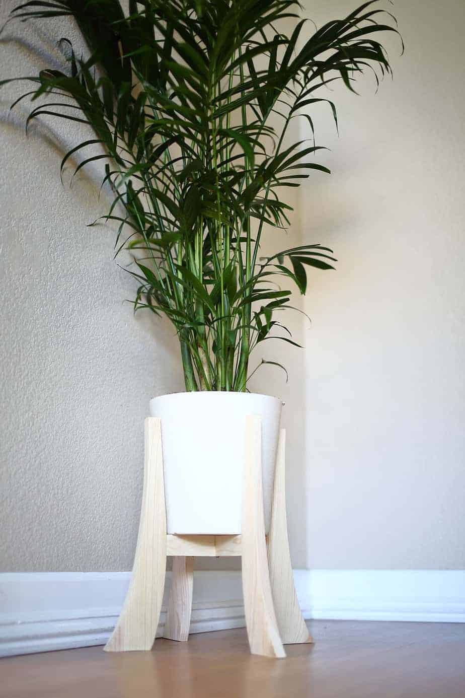 DIY Indoor Plant Stand