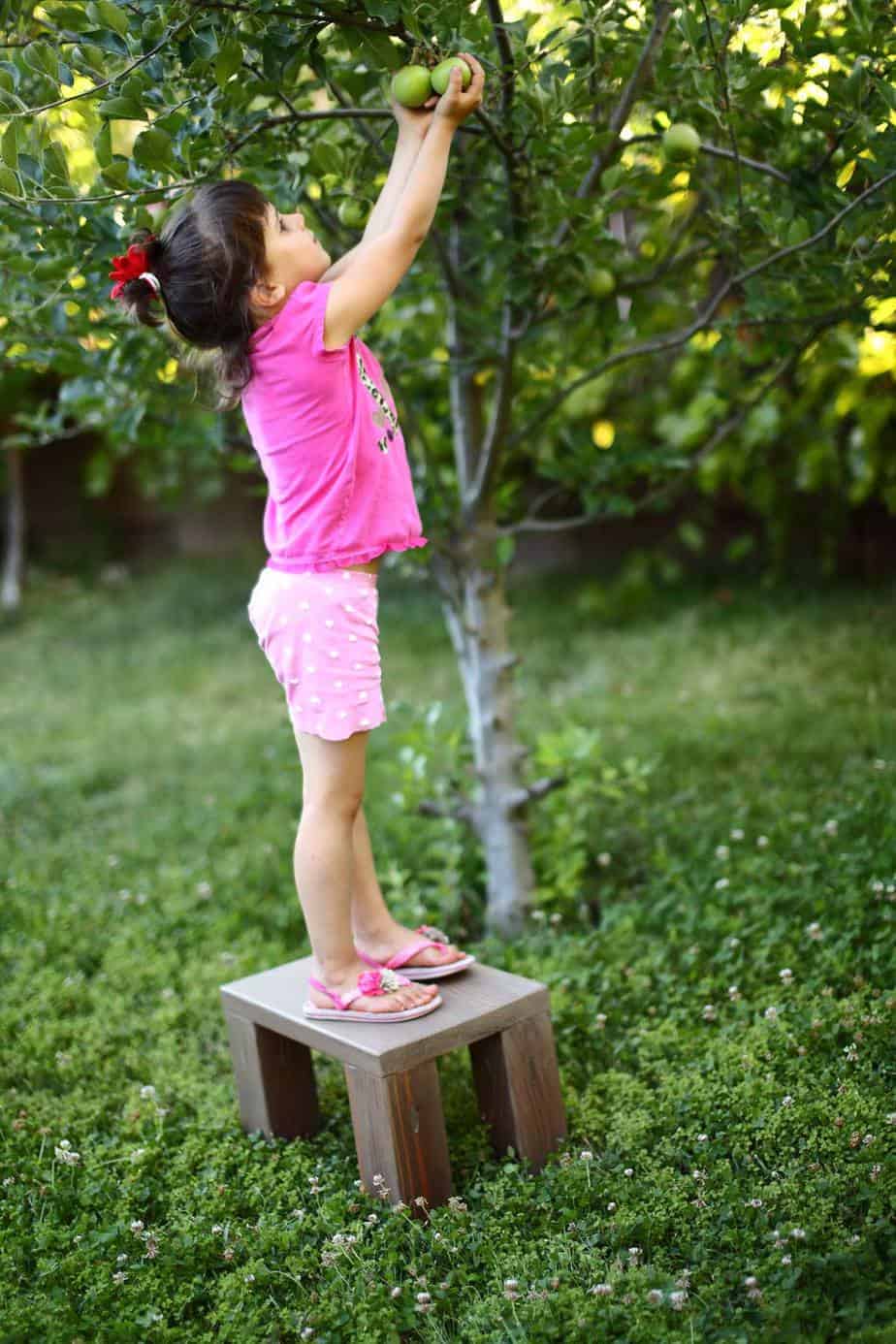 girl reaching for apples on the step stool