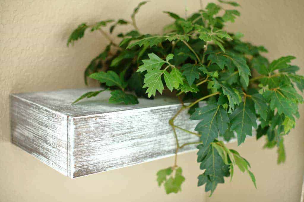 DIY Floating Shelf for a Plant