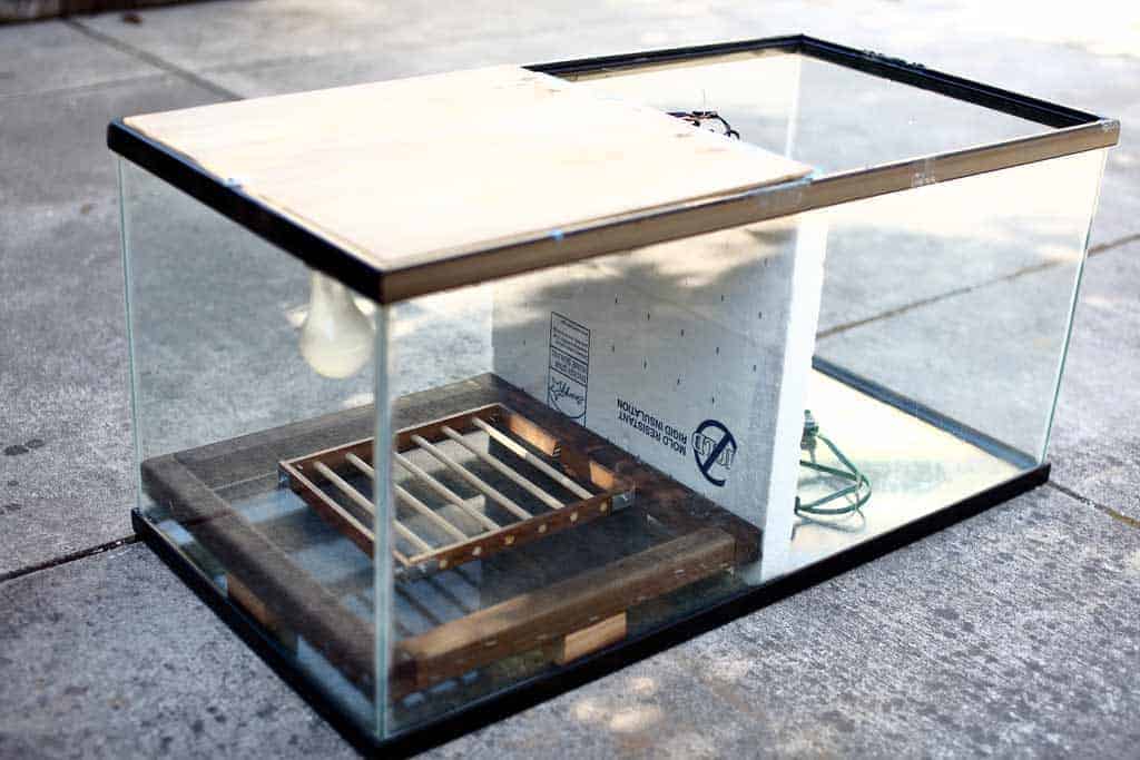 DIY Glass Incubator