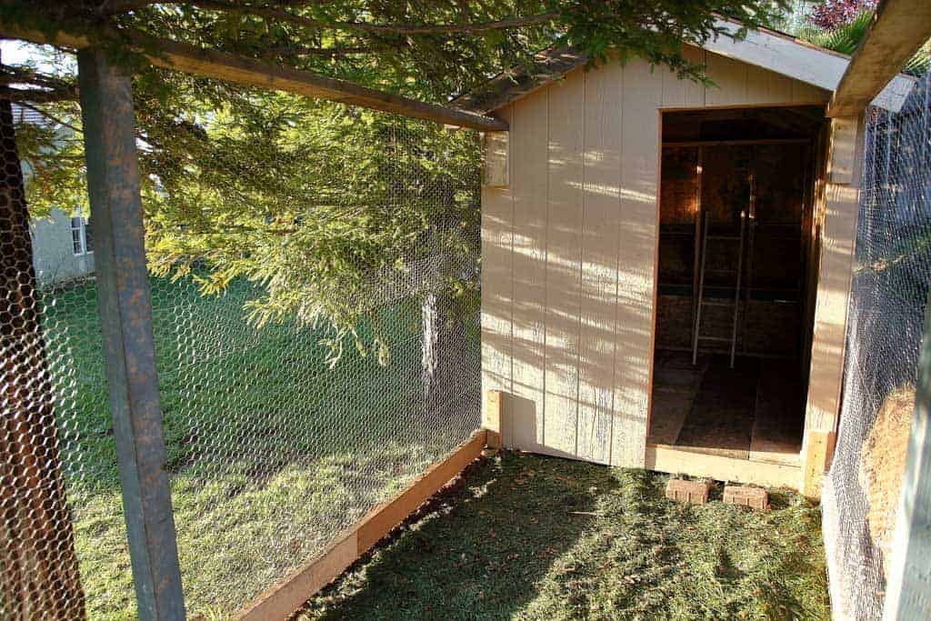 DIY Chicken Coop