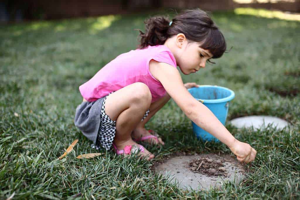 filling the gaps for diy stepping stone pathway