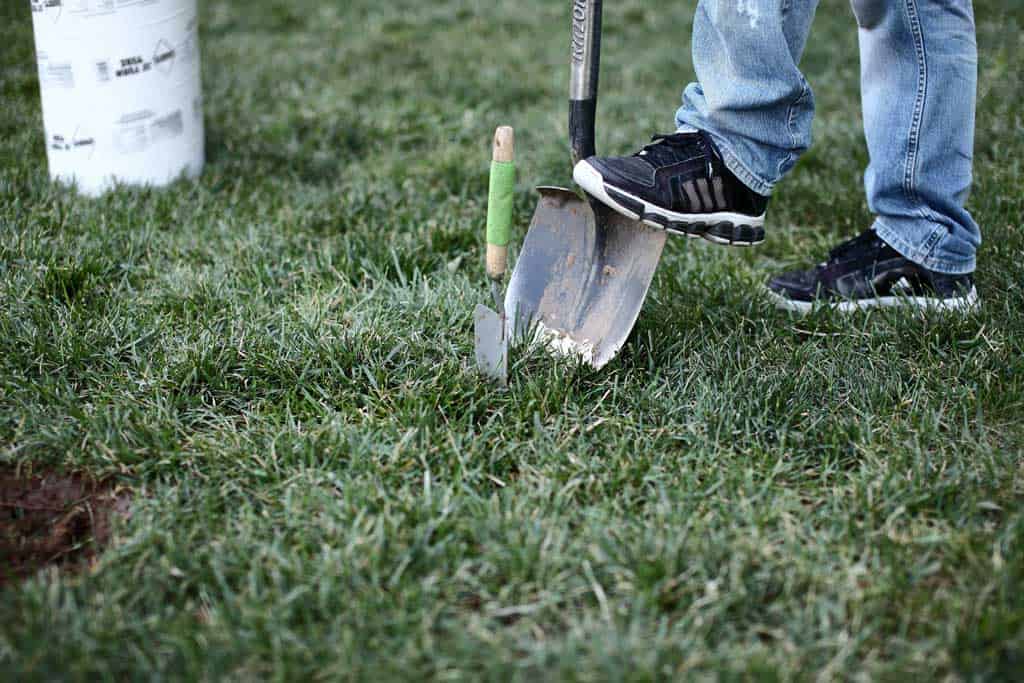 using shovel to dig out ground for diy stepping stone
