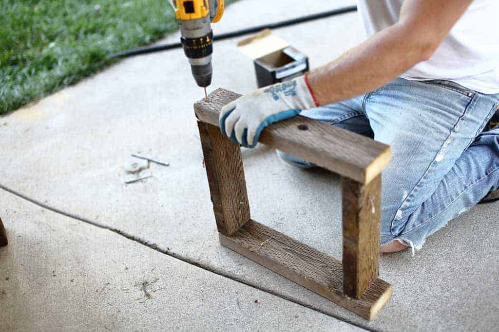 assembling the back frame of the skunk trap