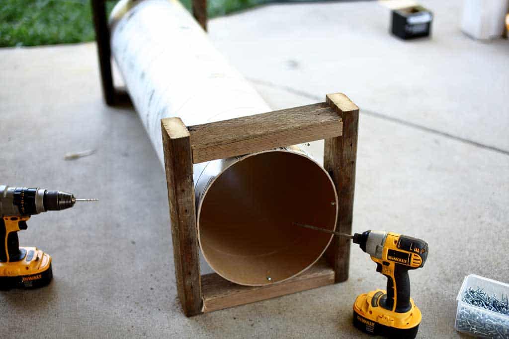 DIY skunk trap