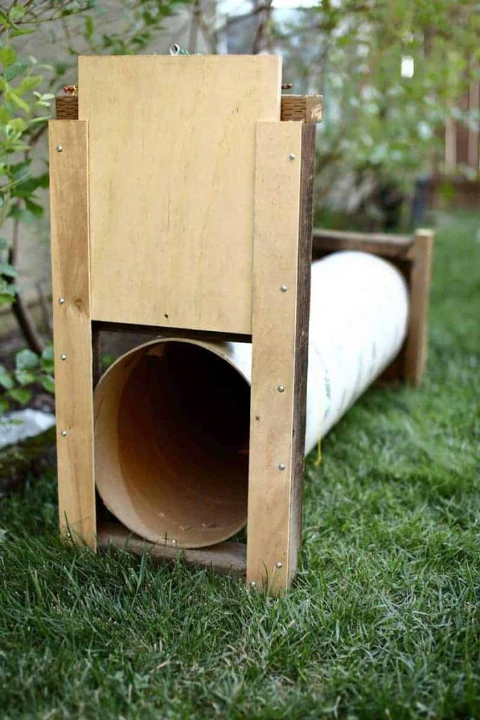 DIY skunk trap using tube form