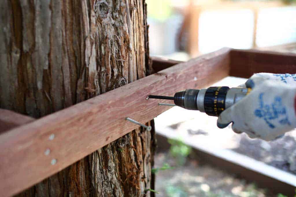 attaching stand frame to the tree