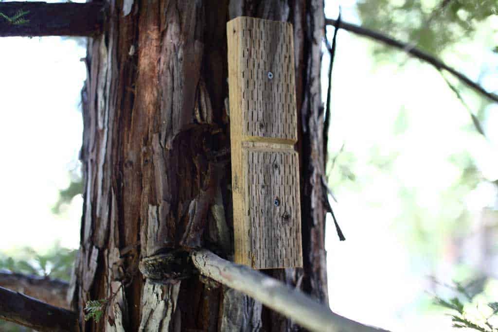 attaching tree protection blocks for diy zip line