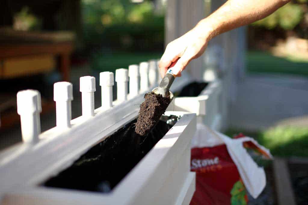 putting dirt into the planter box