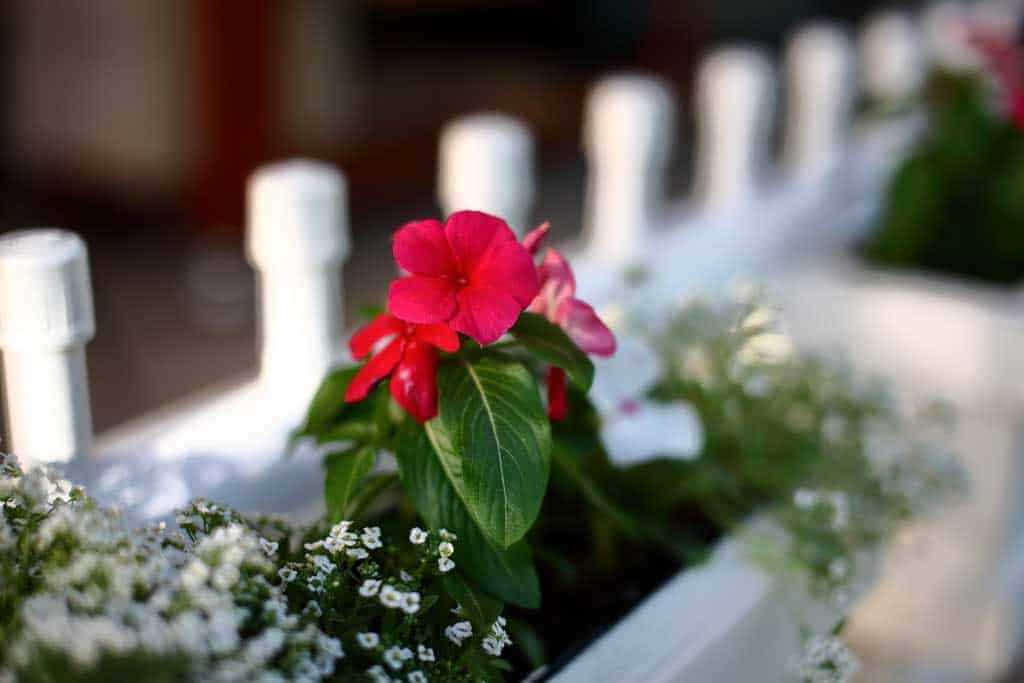 DIY Flower Planter Box