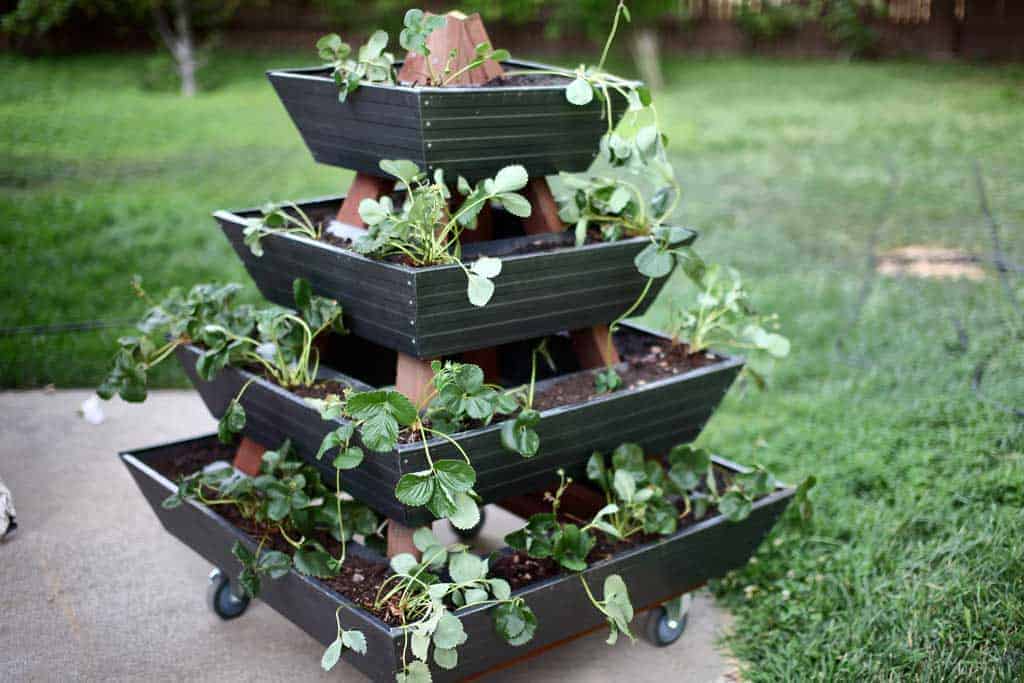 DIY Pyramid gutter planter