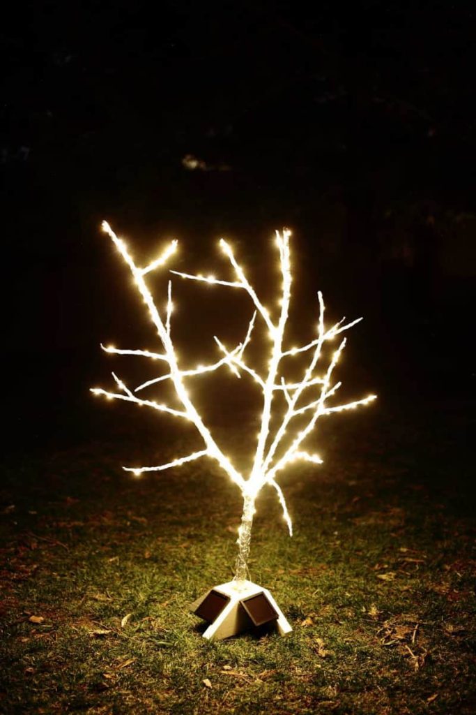 DIY Fairy Tree with Christmas lights