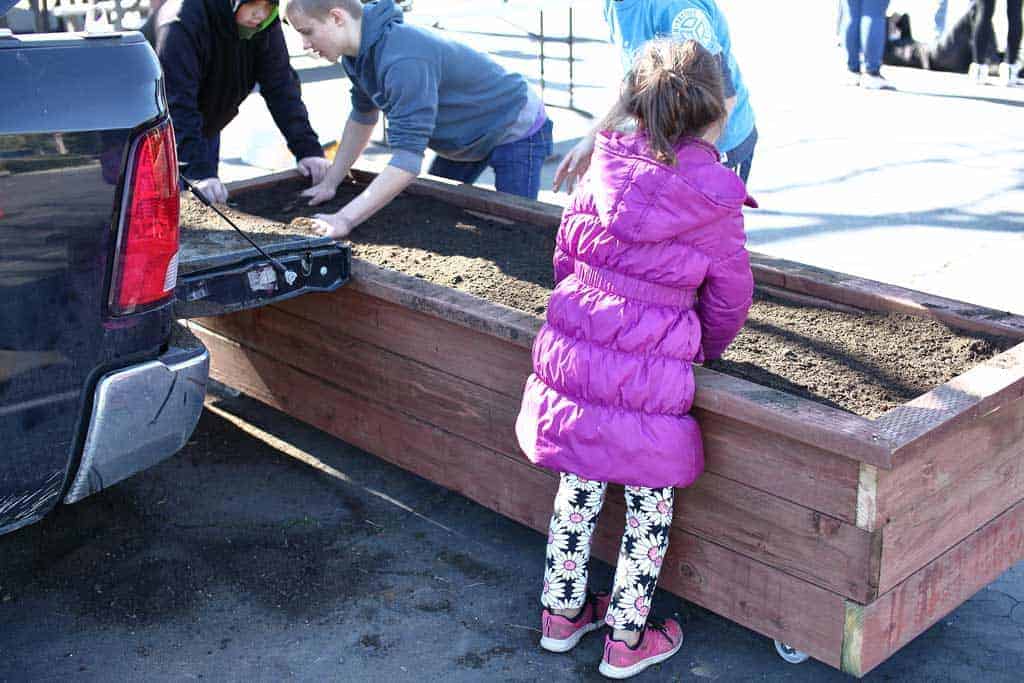 filling planter box with dirt