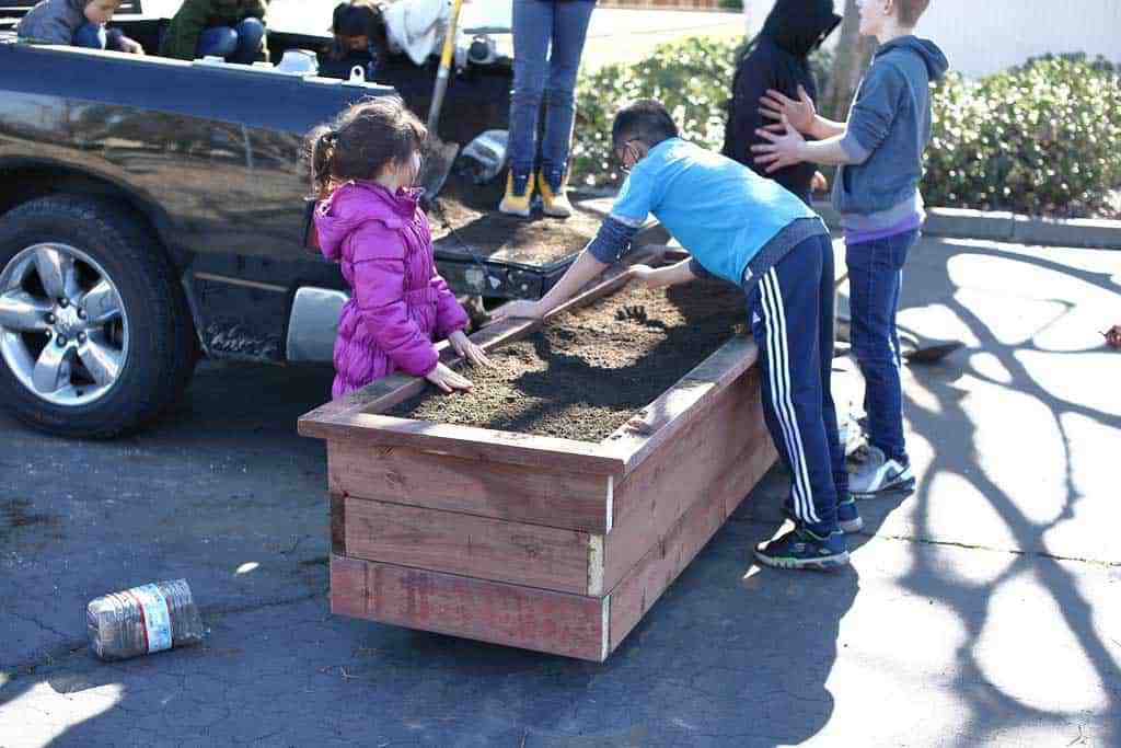filling planter box with dirt