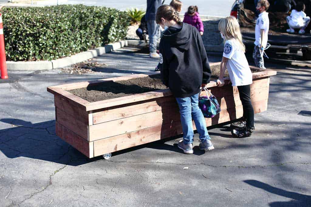 filling planter box with dirt