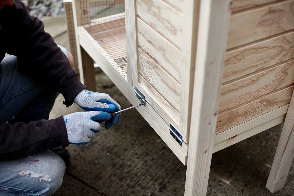 attaching hinges to doors of the DIY rabbit hutch