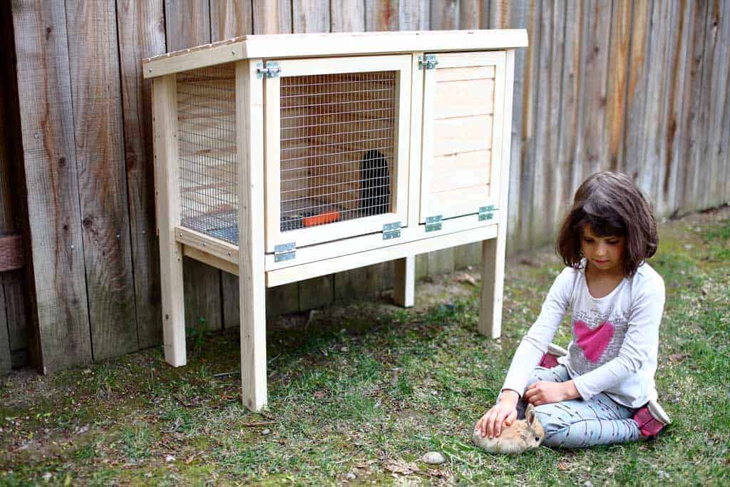 DIY rabbit hutch for indoor and outdoor