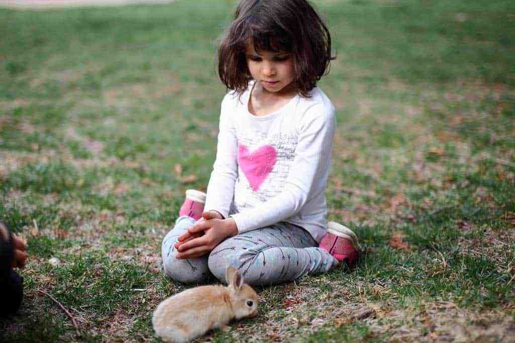 girl with a rabbit pet