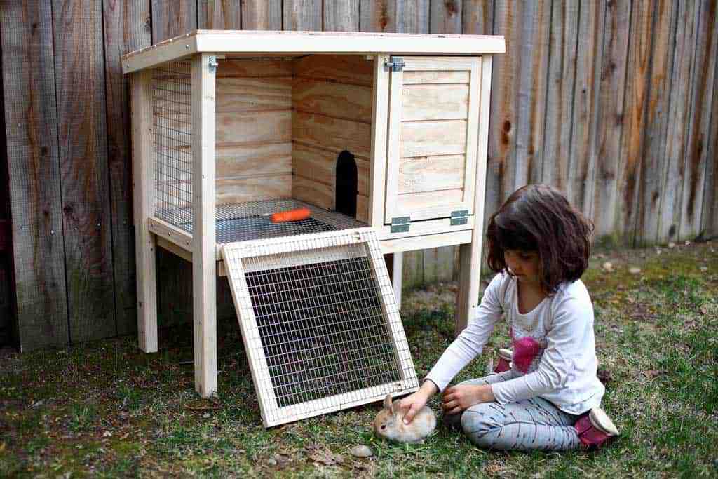 DIY rabbit hutch for indoor and outdoor