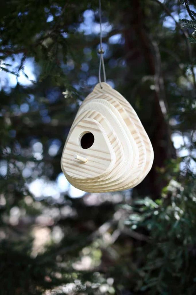 DIY Birdhouse
