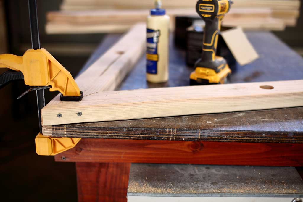 frame of the chicken coop