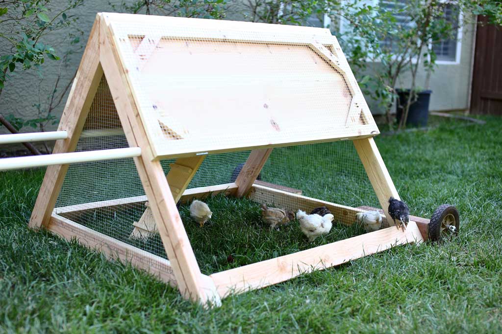 DIY mobile triangle shape chicken coop