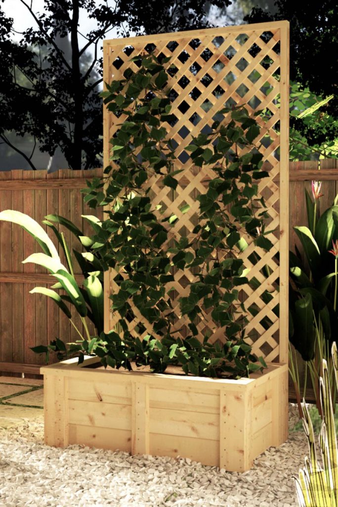 DIY Planter Box with Trellis