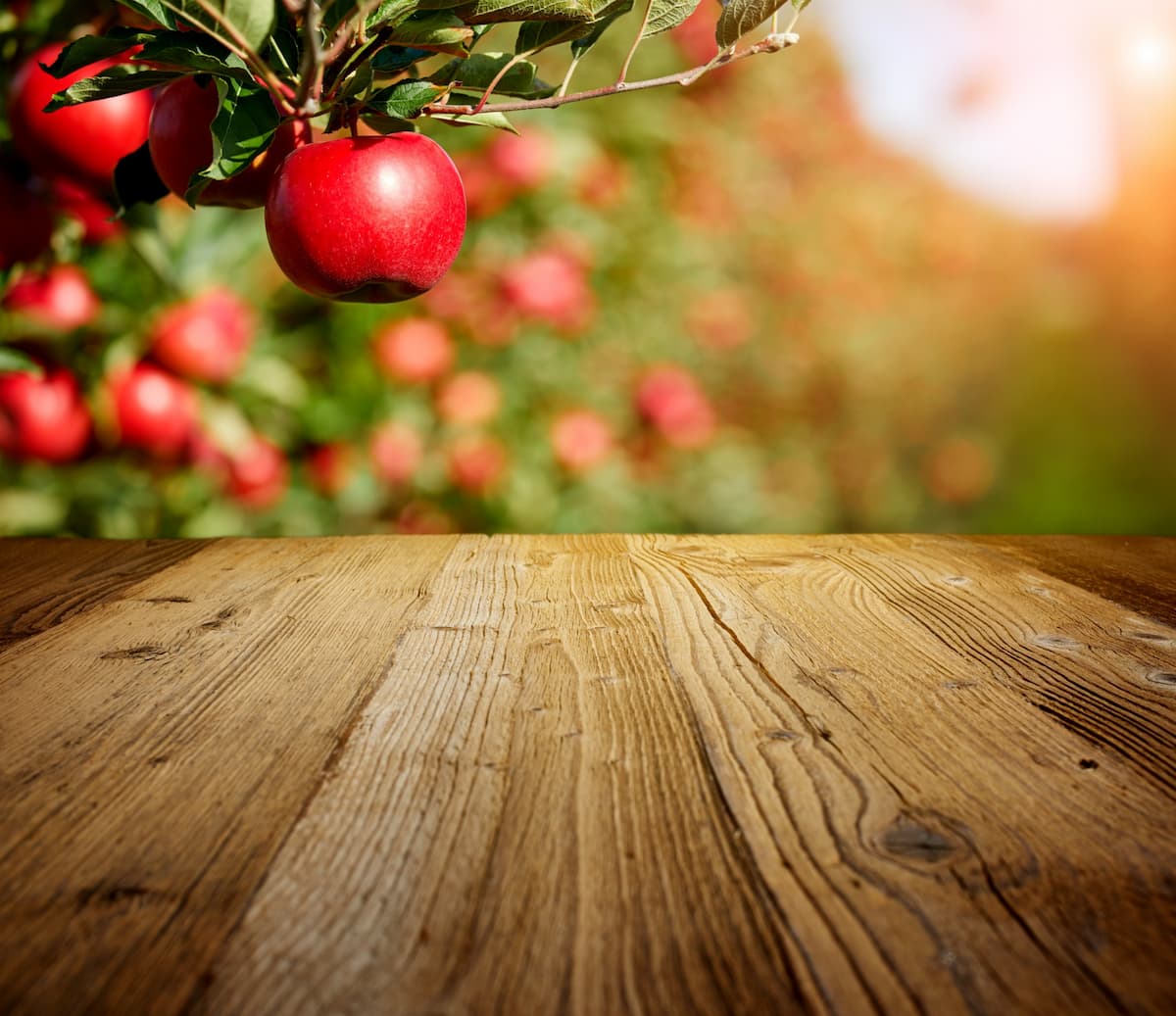 How Long Does It Take Apple Wood To Cure?