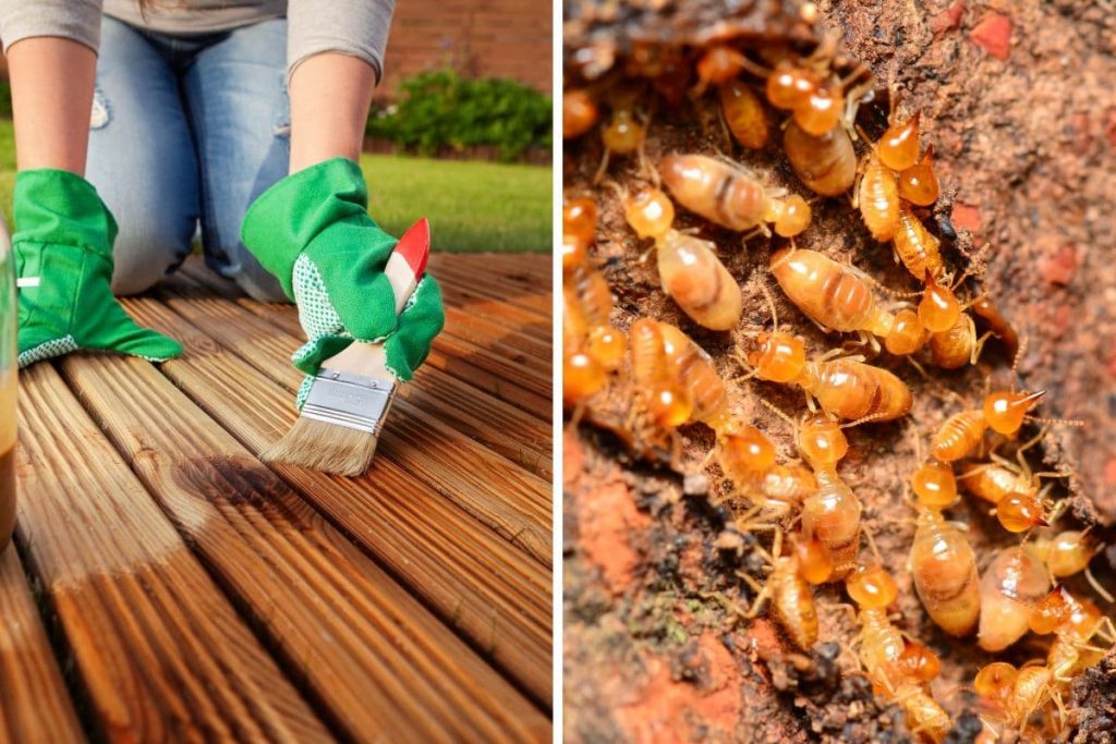 Does Polyurethane Protect Wood From Termites?